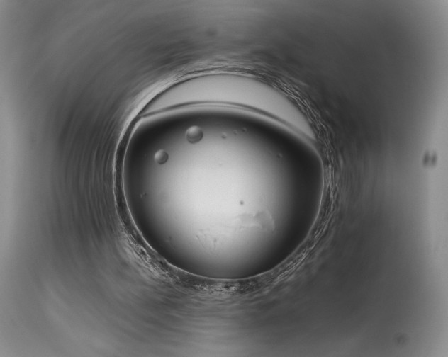 X0000114110148200910051522
