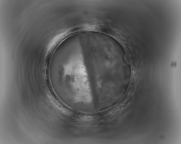 X0000114110149200910051522