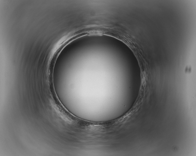 X0000114110150200910051522