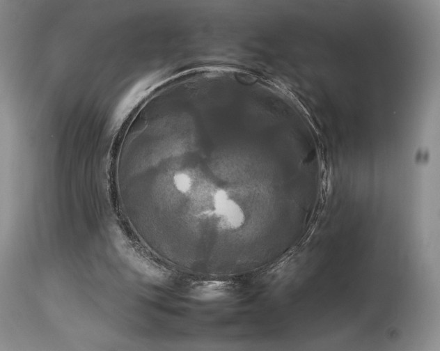 X0000114110151200910051522