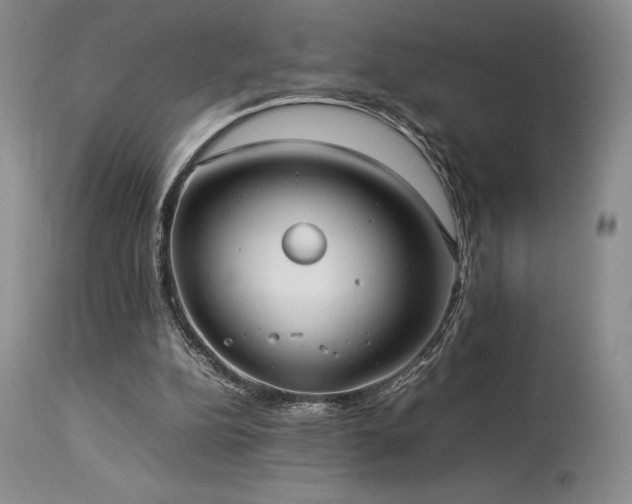 X0000114110152200910051522