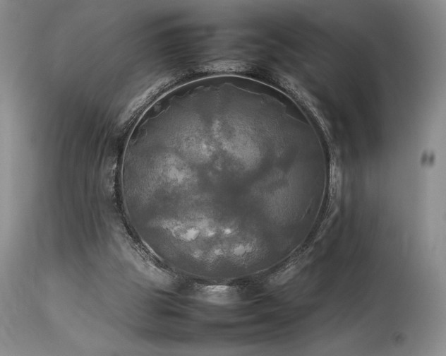 X0000114110153200910051522
