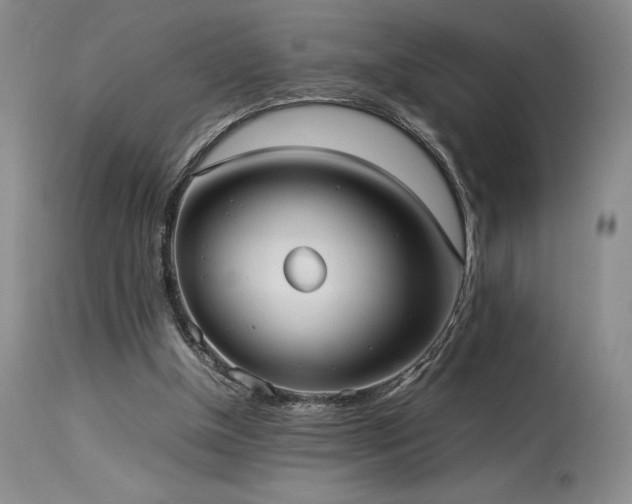 X0000114110154200910051522