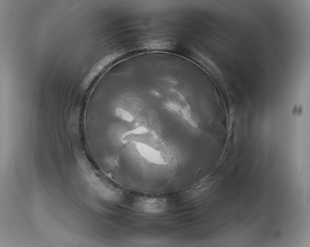 X0000114110155200910051522
