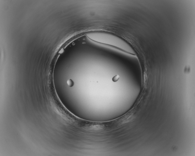 X0000114110156200910051522