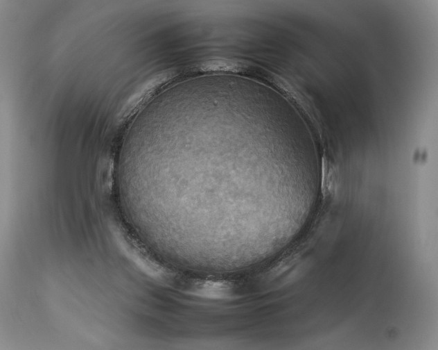 X0000114110157200910051522