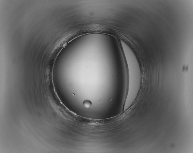 X0000114110158200910051522