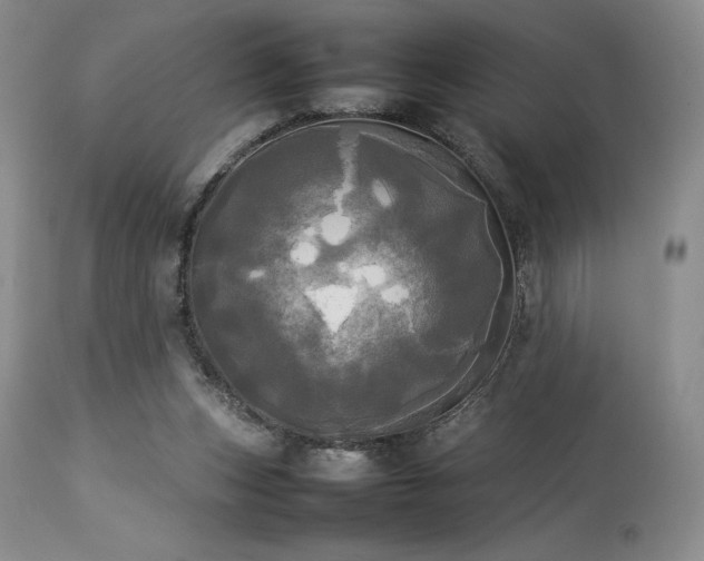 X0000114110159200910051522