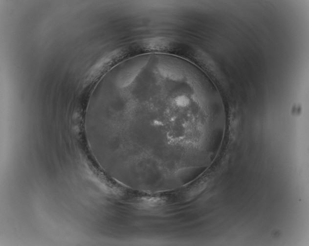 X0000114110161200910051522