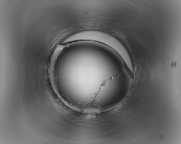 X0000114110162200910051522