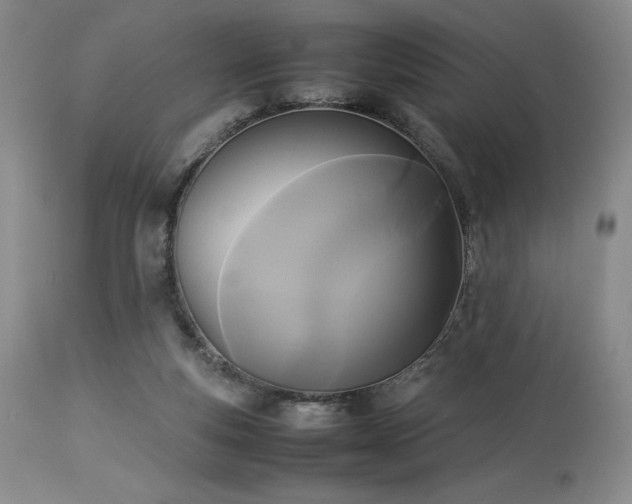 X0000114110163200910051522