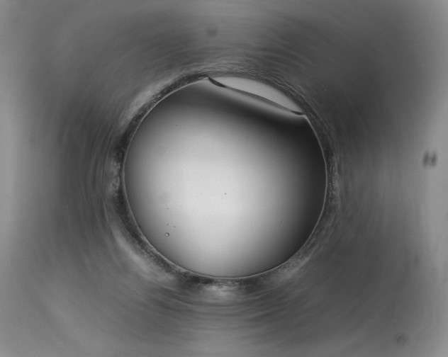 X0000114110164200910051522