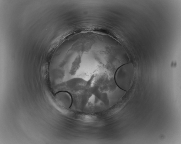 X0000114110165200910051522