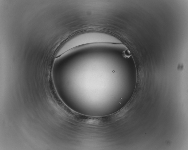 X0000114110168200910051522