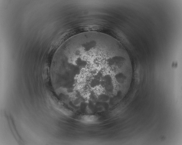 X0000114110169200910051522