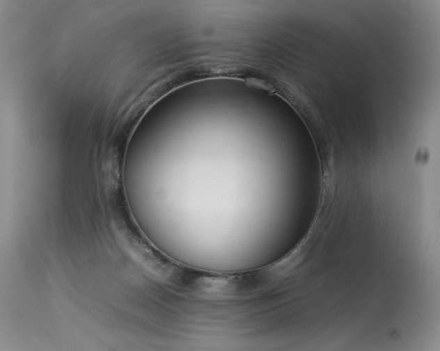 X0000114110170200910051522