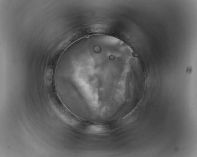 X0000114110171200910051522