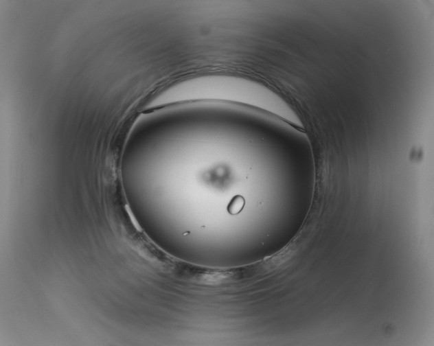X0000114110172200910051522