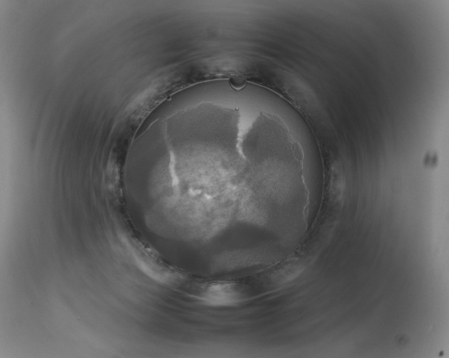 X0000114110173200910051522