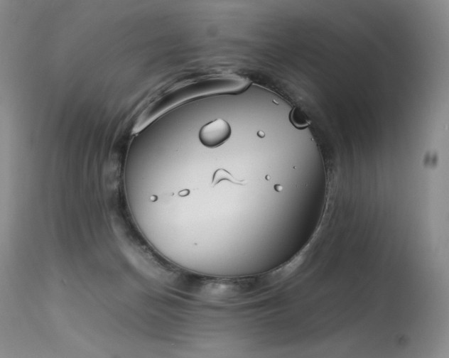 X0000114110174200910051522