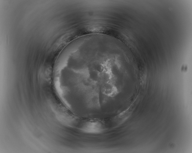 X0000114110175200910051522