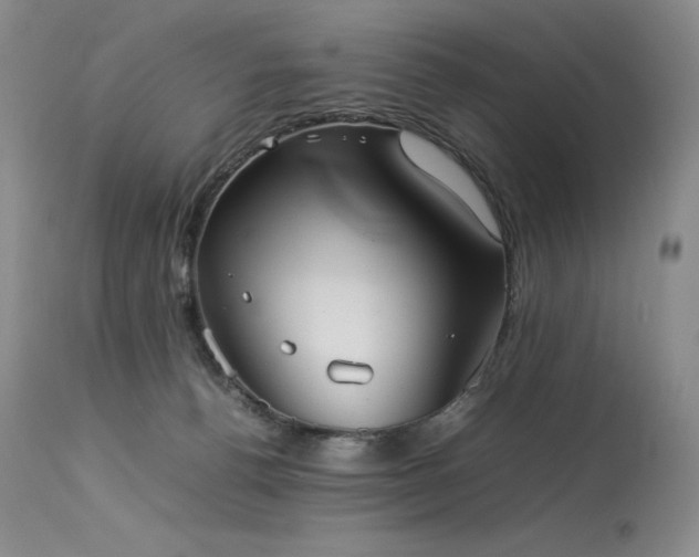 X0000114110176200910051522