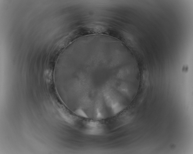 X0000114110177200910051522