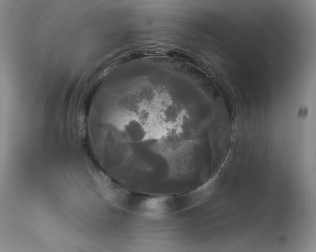 X0000114110178200910051522