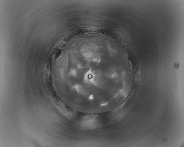 X0000114110179200910051522
