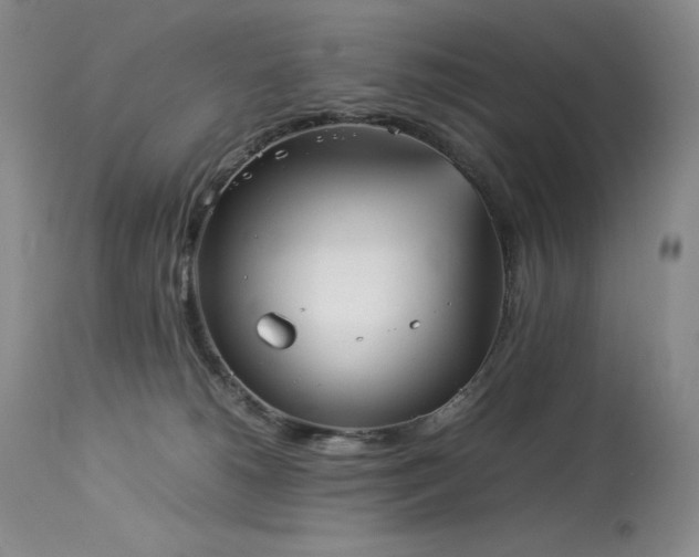 X0000114110180200910051522