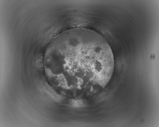 X0000114110181200910051522