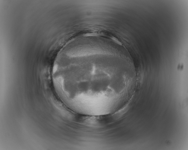 X0000114110182200910051522