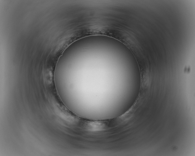 X0000114110183200910051522