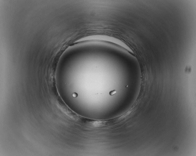 X0000114110184200910051522
