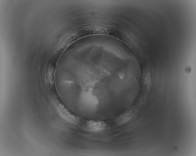 X0000114110185200910051522