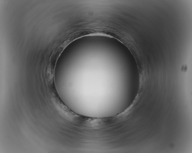 X0000114110186200910051522