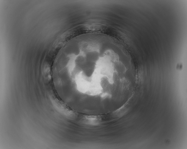 X0000114110187200910051522