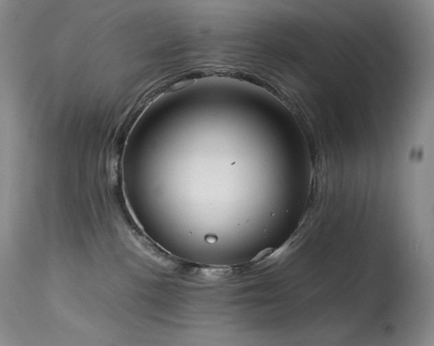 X0000114110188200910051522