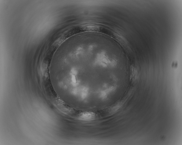 X0000114110189200910051522