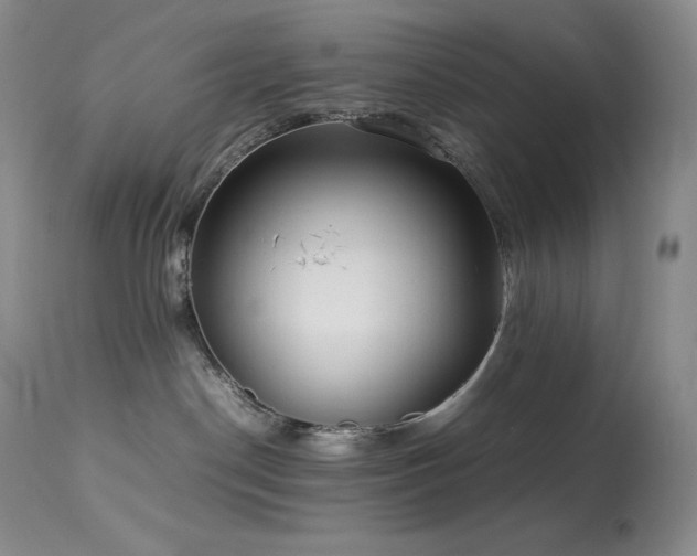 X0000114110190200910051522