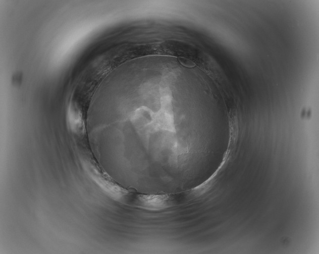 X0000114110191200910051522