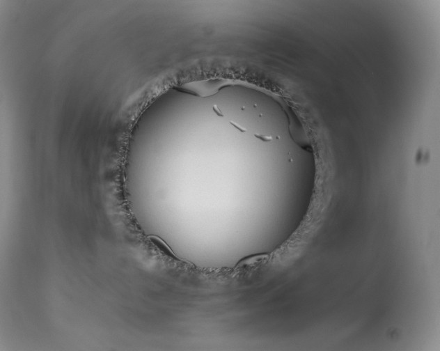 X0000114110192200910051522