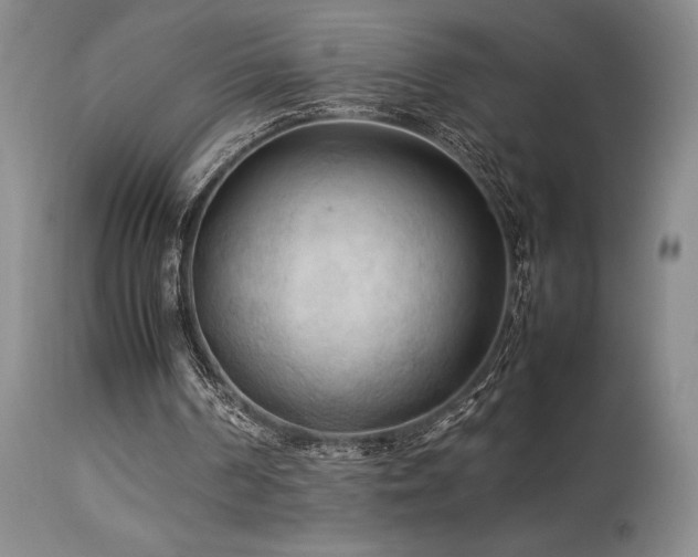 X0000114110194200910051522