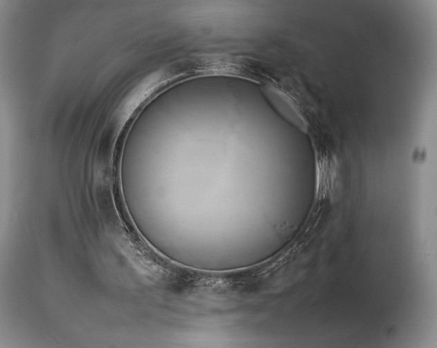 X0000114110195200910051522
