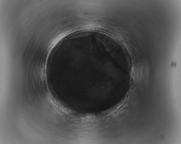 X0000114110196200910051522