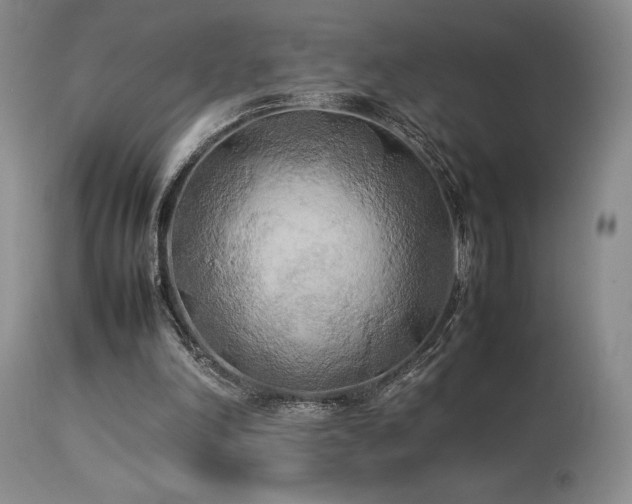 X0000114110198200910051522
