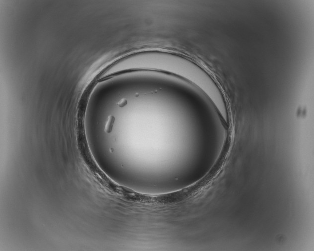X0000114110199200910051522