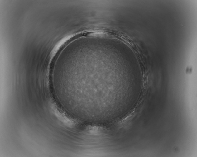X0000114110200200910051522