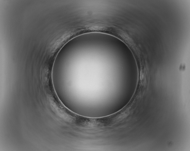 X0000114110201200910051522