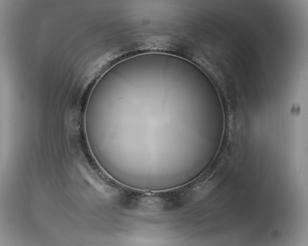 X0000114110203200910051522